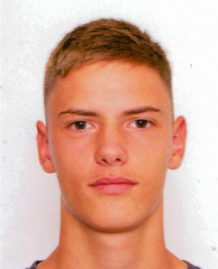 HRVOJEVIĆ, STJEPAN